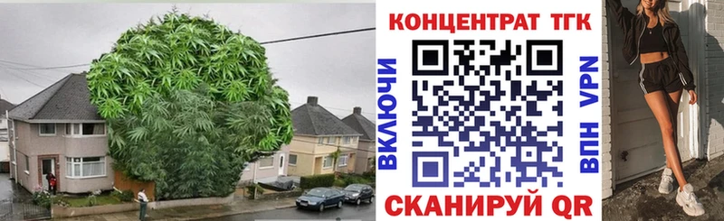 гидра как войти  купить наркотики сайты  Полярный  ТГК концентрат 