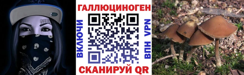 Псилоцибиновые грибы Psilocybe  Полярный 